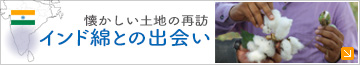 懐かしい土地の再訪　インド綿との出会い