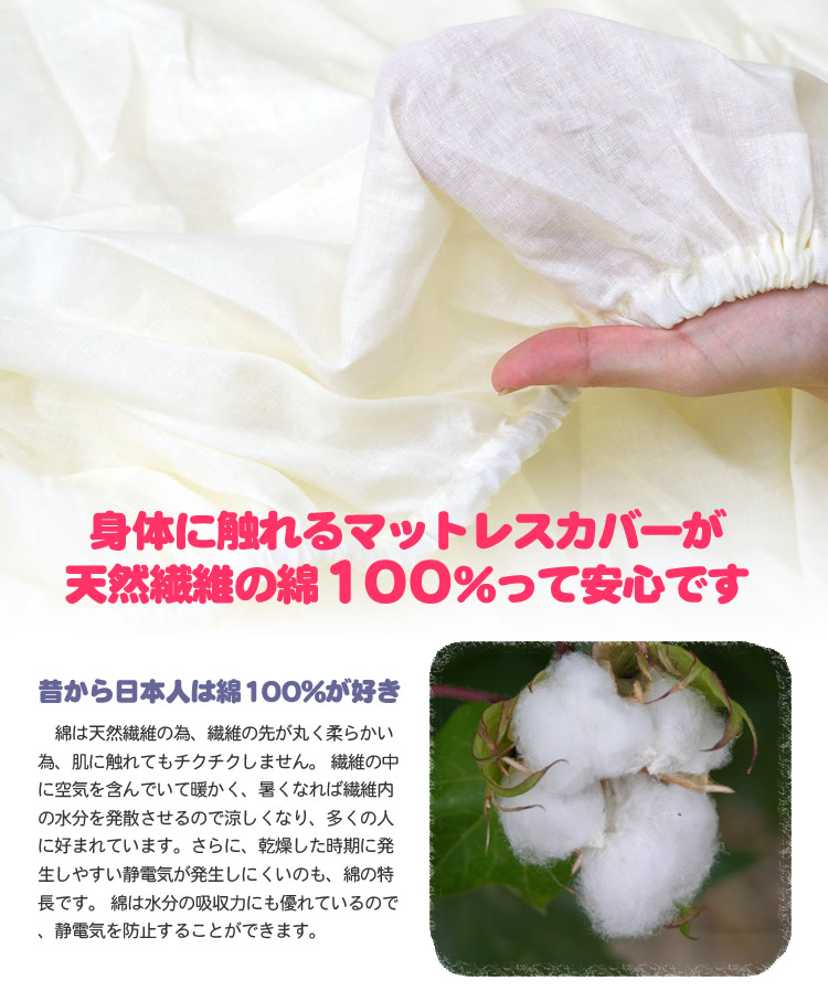 綿100%