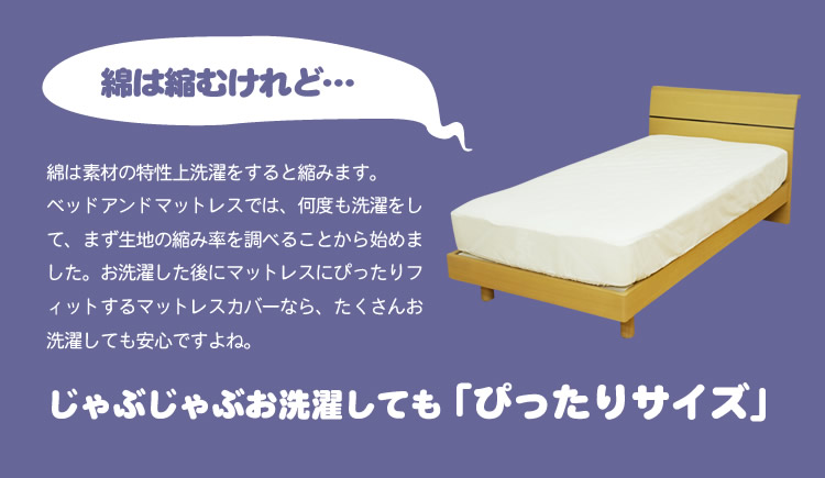 綿100%