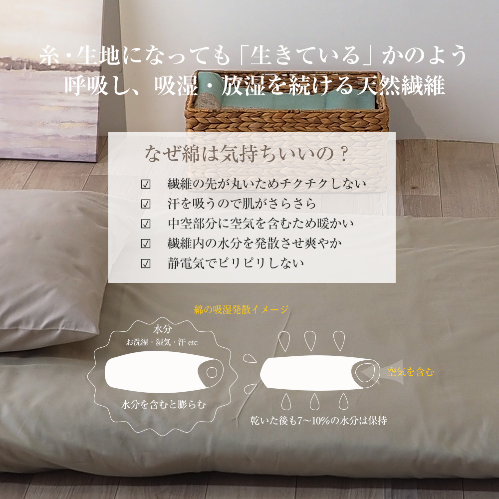 綿100%ブロード